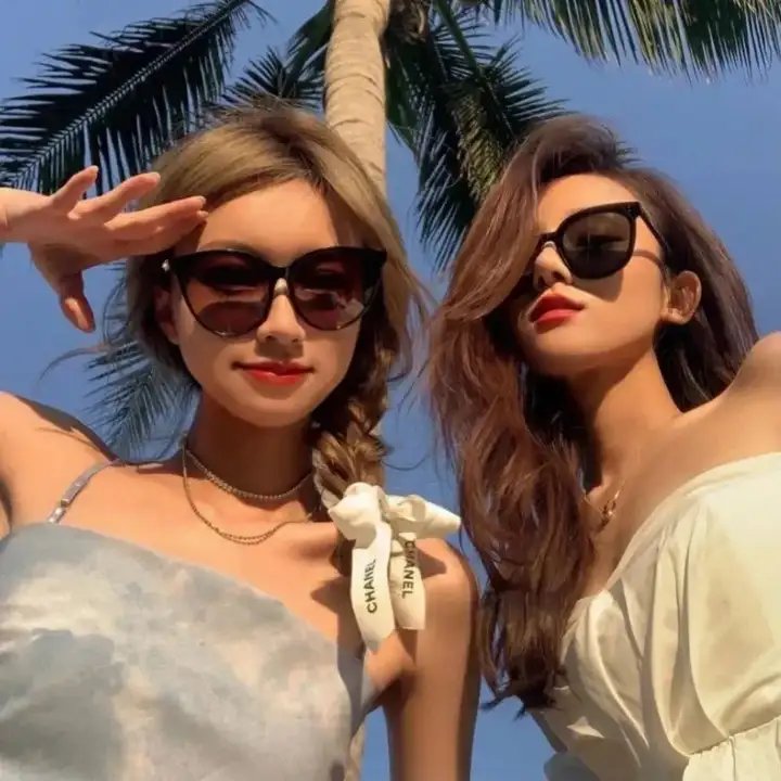 对战美洲狮